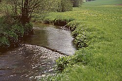 V severní části Českého lesa (Oberpfälzer Wald)