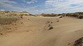 Oleshky Sands near Radensk