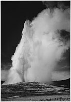 Erupce gejzíru Old Faithful, Yellowstonský národní park, 1933–1942