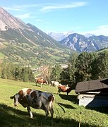 Paisaje alpino desde la Vía Francígena.