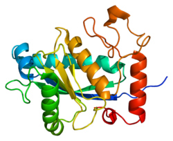 Белок ADAM33 PDB 1r54.png