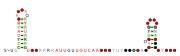 RT-6 Secondary structure taken from the Rfam database. Family RF03027
