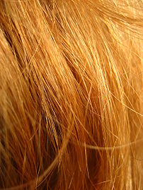 Red hair in close-up