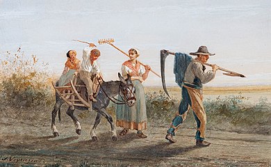 Return from the Fields