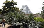 San Antonio Botanical Garden 01697.JPG