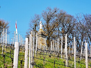 D'Donatus Statue an de Wéngerten um Felsbierg