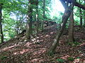 Burg Erenstein, Turmhügel