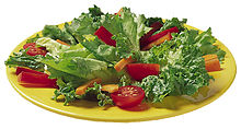 An image of a salad in its platonic form, which is to say, a plate full of leaves.