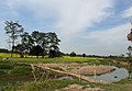 Paysage d'un village dans le district de Lakhimpur (2019)