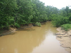 Река Анджелина к западу от Накогдочеса, штат Техас. JPG