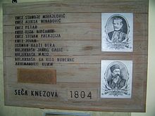 BMM-SečaKnezova1804.JPG