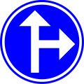 D3: Requirement to follow the direction indicated by the arrow – straight or right