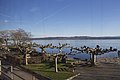 Promenade und Schiffländte Twann