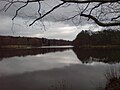 Der Brückweiher in Jägersburg