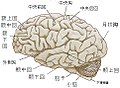 於 2010年7月16日 (五) 07:40 版本的縮圖