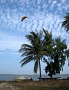 Kitesurfing in Carabane