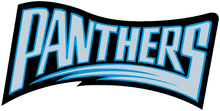 Carolina Panthers 1995 wordmark.png