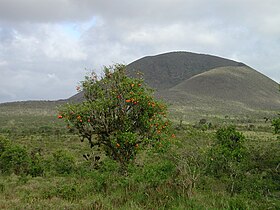 Vue du Cerro Pajas.