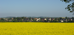 Skyline of Clinchamps-sur-Orne