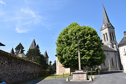 Vue latérale de l'église, à gauche les tours du château, au premier plan, le tilleul planté én 1831.