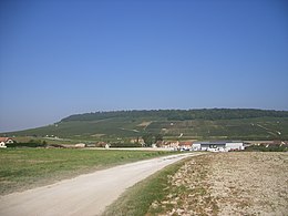 Bergères-lès-Vertus – Veduta