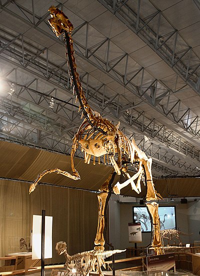 400px-Gigantoraptor.jpg