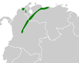 Noordelijke roestborstdwergmierpitta