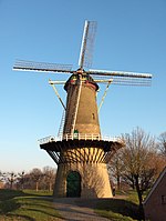 HulstMolen1.JPG