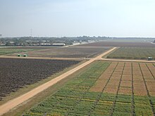 ICRISAT Field.jpg