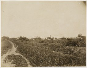 Suikerplantage Mariënburg (ca. 1885)