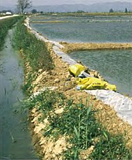 Sant Jaume d'Enveja (Montsià), 24 d'abril de 2001