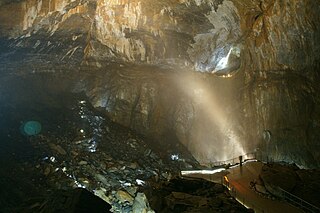 Plataforma panorámica en la Sala. Al fondo, en la parte superior de la imagen, se observa el comienzo de la Galería Aranzadi (antiguo cauce del río Saint Vincent).