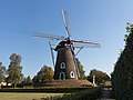 Lieshout, windmill windmolen de Leest