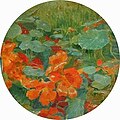Kvetoucí svlačec (olej na kartonu, kruhu průměr 22 cm) 1910