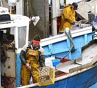 Fishing wearing oilskins (modernly, PVC laminate)