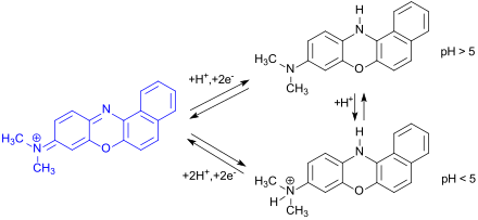 Redoxreaktione an Meldola-Blau