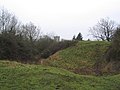 The Motte