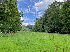 Große Auwiese im mittleren Harthbachtal