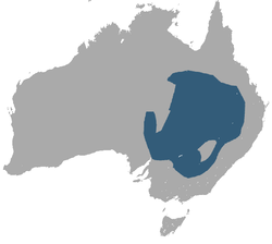 Mapa de distribución de P. tenuirostris