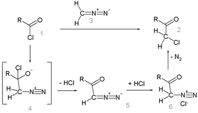 The Nierenstein reaction mechanism