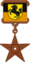 A military style award is on the left