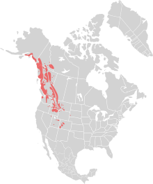 Oreamnos americanus distribution.svg