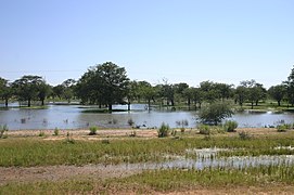 Zona inundada en Oshana