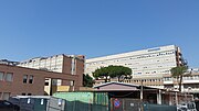 Vignette pour Hôpital de la Miséricorde de Grosseto