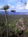 Parque Nacional Desembarco del Granma