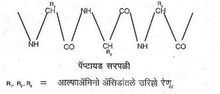 Peptide chain, Konkani Vishwakosh