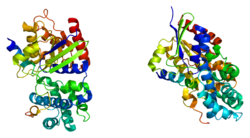 Белок RGS14 PDB 1kjy.png