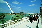 Miniatura para Puente atirantado de pilón contrapeso