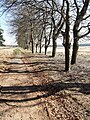 Voormalige spoordijk in Nationaal Park De Hoge Veluwe anno 2020.