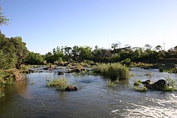 River, Madikwe Game Reserve.jpg